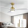 Sofucor 132 cm Ventilatore da Soffitto con Luce, Legno Massello Ventilatore a Soffitto con Telecomando, DC, 3 Temperature di Colore, Timer, 6 Velocità, Modalità Estate Inverno per Soggiorno