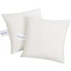 BEFA NATUR - prodotto in Germania, cuscino in piume 60x60 cm con 100% piume, adatto per allergici (Nomite), certificato Öko-Tex 100 Classe 1, standard EN 12934, Downpass (2 pezzi)