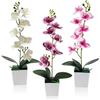Xbessc 3 Pezzi Orchidea Finta 43 cm Fiori Decorativi Orchidee Artificiali Come Veri Orchidee Artificiali in Vasi Finta Phalaenopsis per Tavolo Casa Matrimonio Ufficio(Bianco/Viola)