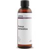Aroma Labs Prugna BIO (Prunus domestica) - 100 mL - Olio Vegetale Vergine e Certificato AB - Aroma Labs - Made in France