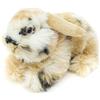 Uni-Toys - Coniglio con testa di leone con orecchie appese - sdraiato - nero-marrone-bianco - 23 cm (lunghezza) - Coniglio di peluche - Peluche