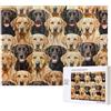 kkvhhyuo labrador retriever - Puzzle da 500 pezzi per adulti, puzzle colorati per la decorazione della casa, regali per la famiglia, puzzle perfetto per serate di gioco