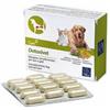 C.i.a.m. - Detoxivet 60 Compresse