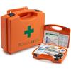 Lemag srl Lemag Cassetta Primo Soccorso Gruppo C - Conforme D.Lgs. 81/2008 D.M. 388/2003 - Kit Pronto Soccorso Aziendale per Aziende fino a 3 Lavoratori - Attacco a Parete in Polipropilene | Made in Italy