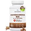 Bandini® Ashwagandha BIO KSM-66® Vegan (180 Capsule) - Withania Somnifera | 100% Biologica con 5% di Withanolidi - Integratore Naturale Qualità Premium KSM Pura - Rimedio Ayurvedico per Mente e Corpo