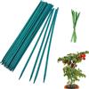 TSKDKIT 30cm Bastoncini di Supporto per Piante Bastoni da Giardino in bambù, Pali per Piante per Piante Rampicanti,Piante da Giardinaggio con 50 Fascette Intrecciate