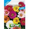 L'ORTOLANO Sementi da fiore di qualità in bustina per uso amatoriale (PORTULACA DOPPIA IN MISCUGLIO)
