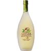 Bottega Ginger Bio Liquore biologico allo Zenzero - 500ml