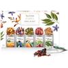 Tea Forte Tea forté erbe donna Single pendii - a scatto per lucernario tè in porzione sacchetti, 1 pacchetto (1 x 66 G)