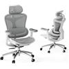 SIHOO Sedia da ufficio ergonomica Doro C300, braccioli 3D ultra-morbidi, supporto lombare dinamico, schienale regolabile per home office (grigia)