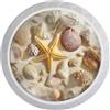 Artinhand Confezione da 4 pomelli rotondi per cassetti con conchiglie e stelle marine, colore bianco, per credenze, porte, armadietti, mobili da cucina e bagno