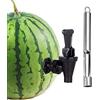ZJT Set di rubinetti per meloni, anguria, set di rubinetti per bevande direttamente dalla frutta, rubinetto ideale per meloni, cocktail di ananas, bevande frullate