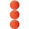 HPWFHPLF Palline da tennis, confezione da 3 palline da tennis per principianti, allenamento e giochi per cani da compagnia