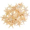 SKYPRO 100 stelle marine da dito naturali, 1-2 cm, perfette per decorazioni per feste, matrimoni, decorazioni per la casa, ornamenti natalizi, acquari e progetti artigianali