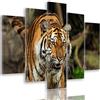 Feeby Frames, Quadro multipannello di 5 Pannelli, Quadro su Tela, Stampa Artistica, Canvas Tipo A, 100x200 cm, Tigre, Animali, Natura, Africa, Zoo