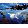 Heinz J. Nowarra German Guided Missles (Tascabile)