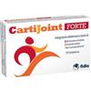 FIDIA FARMACEUTICI SpA Cartijoint Forte 20cpr
