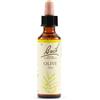 SCHWABE PHARMA ITALIA Srl Olive bach orig 20 ml