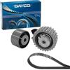 DAYCO KTB777 Kit DISTR.Fiat Bravo DOBLO' Marea 1.9 TD | Compatibile con: FIAT BRAVA, BRAVO I, DOBLO Großraumlimousine, MAREA, MAREA Weekend, PALIO Weekend, PUNTO