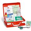FARMACARE Srl PACCO BASE REINTEGRO DM388 AL2