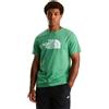 The North Face T-Shirt Uomo The North Face Evolution Half Dome Regular Verde Bianco