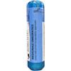OTI Srl Oti Thyroidinum 9CH Granuli Omeopatici per Tiroide 70g