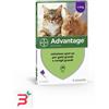 ELANCO ITALIA SPA ADVANTAGE*4PIP 0,8ML SPOTON