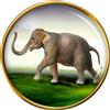 Indiano Elefante Spilla Badge