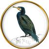Spilla Da Bavero Cormorano