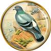 Rock Colomba Spilla Badge