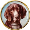 Liscio Segugio Da Reichert Cane Distintivo di Lapel Pin