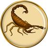 Spilla Da Giacca Scorpion