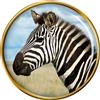 Spilla A Forma Di Zebra