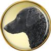 Riccio Rivestito Retriever Cane Distintivo di Lapel Pin