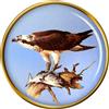Spilla Al Servizio Di Osprey