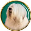 Vecchio Inglese Cane da Pastore Distintivo di Lapel Pin