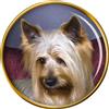 Australiano Setosa Cane Terrier Distintivo di Lapel Pin