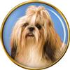 Shih Tzu Cane Distintivo di Lapel Pin