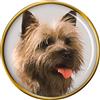 Cane Cairn Terrier Distintivo di Lapel Pin