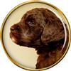 Barbet (Francese Acqua Cane ) Distintivo di Lapel Pin