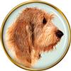 Grand Basset Griffon Vendéen Distintivo di Lapel Pin