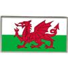 Spilla A Forma Di Bandiera Del Galles Cymru