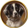 Epagneul Français (Francese Spaniel) Distintivo di Lapel Pin