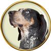 Bluetick Coonhound Cane Distintivo di Lapel Pin