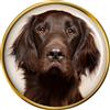 Flat-Coated Retriever Distintivo di Lapel Pin
