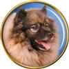 Keeshond (Wolfsspitz) Cane Distintivo di Lapel Pin