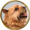 Norwich Cane Terrier Distintivo di Lapel Pin