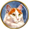 Turco Van Gatto Distintivo di Lapel Pin