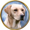Dorato Labrador Laboratorio Distintivo di Lapel Pin