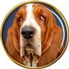 Cane Basset Hound Distintivo di Lapel Pin